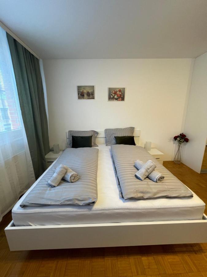 Apartment Green - Grey Ljubljana Dış mekan fotoğraf